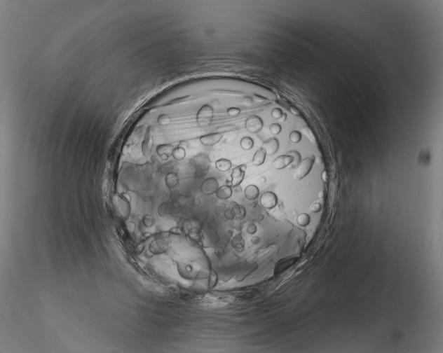 X0000115090346200912081240
