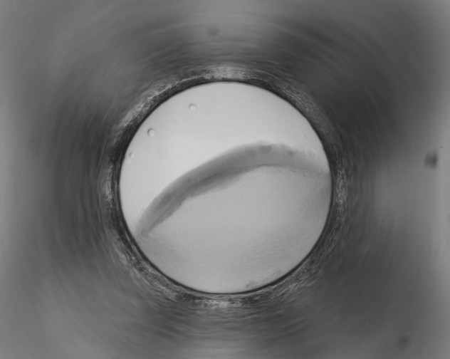 X0000115090347200912081240