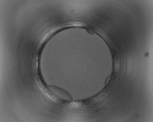X0000115090350200912081240