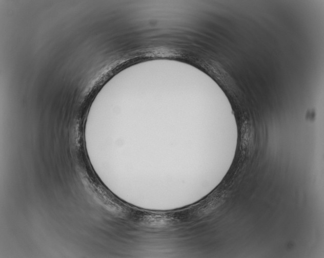 X0000115090351200912081240