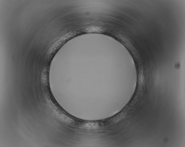 X0000115090353200912081240