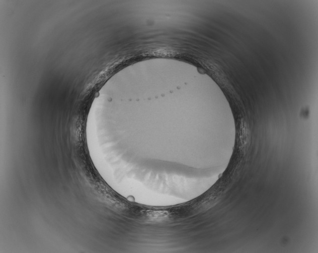 X0000115090355200912081240