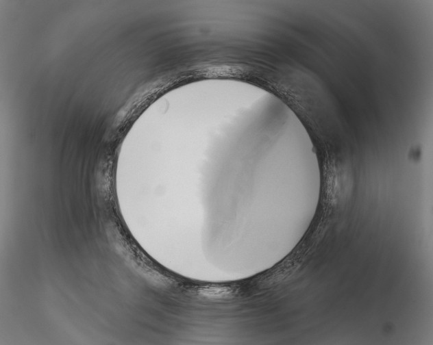 X0000115090357200912081240