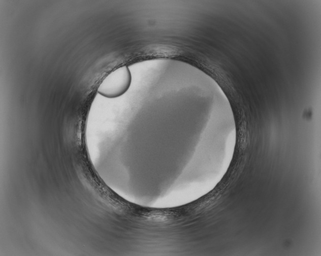 X0000115090358200912081240
