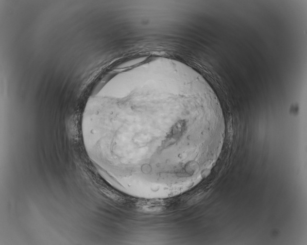 X0000115090359200912081240