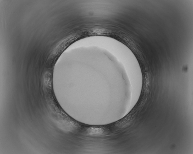 X0000115090361200912081240