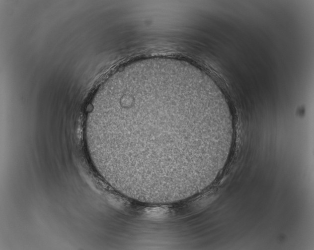 X0000115090362200912081240