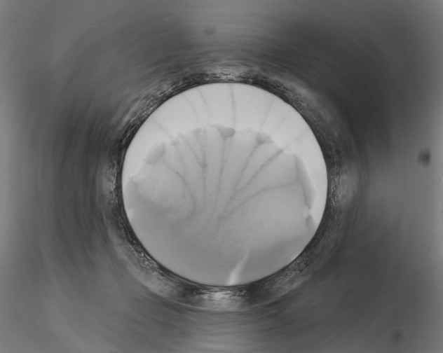 X0000115090365200912081240