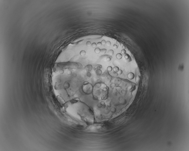 X0000115090366200912081240