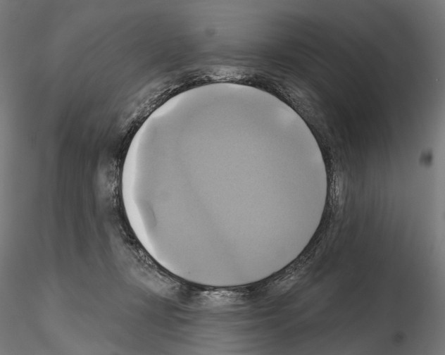 X0000115090367200912081240