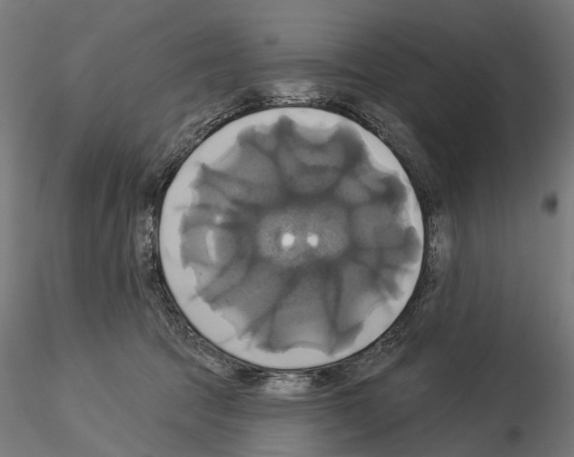 X0000115090369200912081240