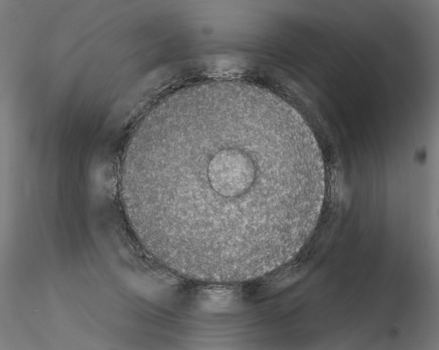 X0000115090370200912081240