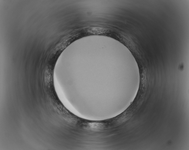 X0000115090371200912081240