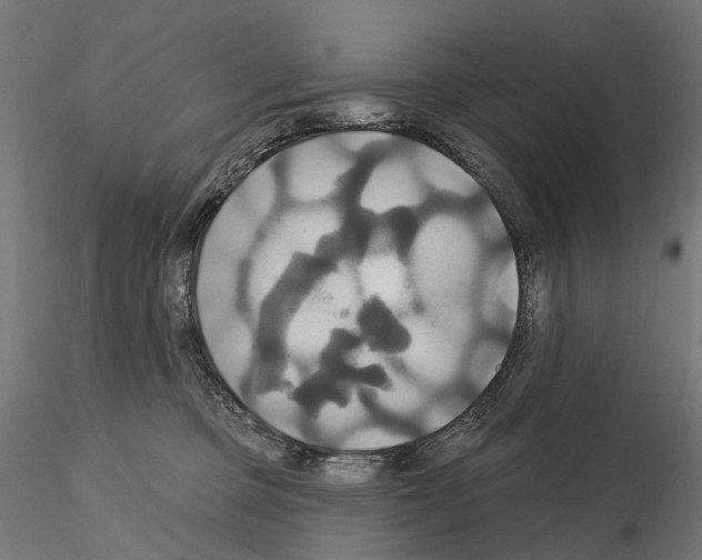 X0000115090373200912081240