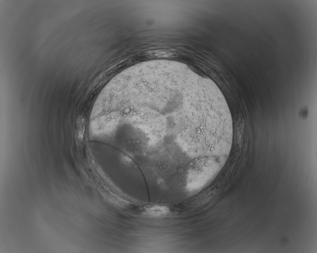 X0000115090374200912081240