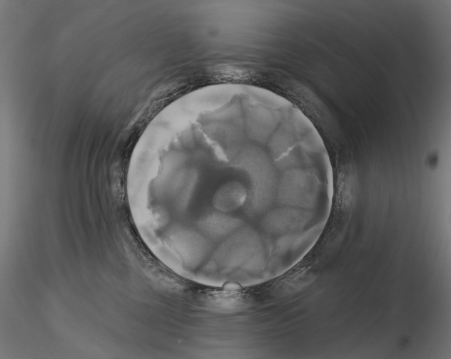 X0000115090377200912081240
