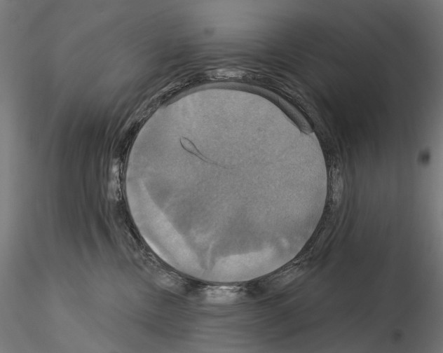 X0000115090378200912081240
