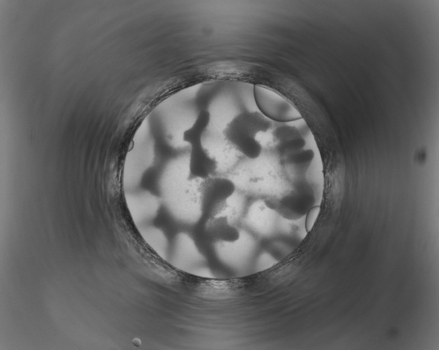 X0000115090381200912081240
