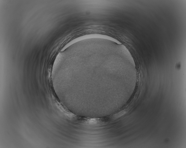X0000115090382200912081240