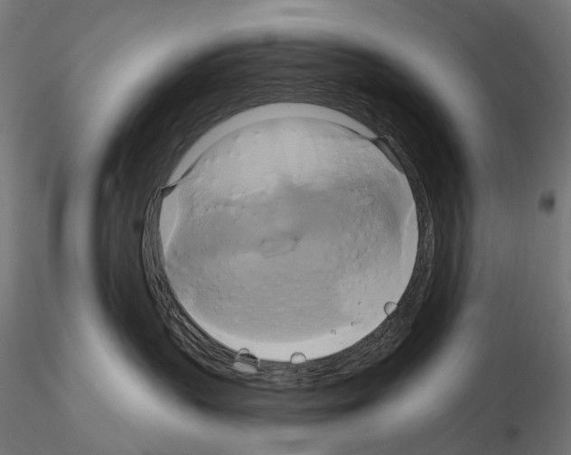 X0000115090383200912081240