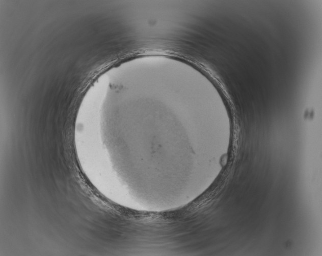 X0000115090385200912081240