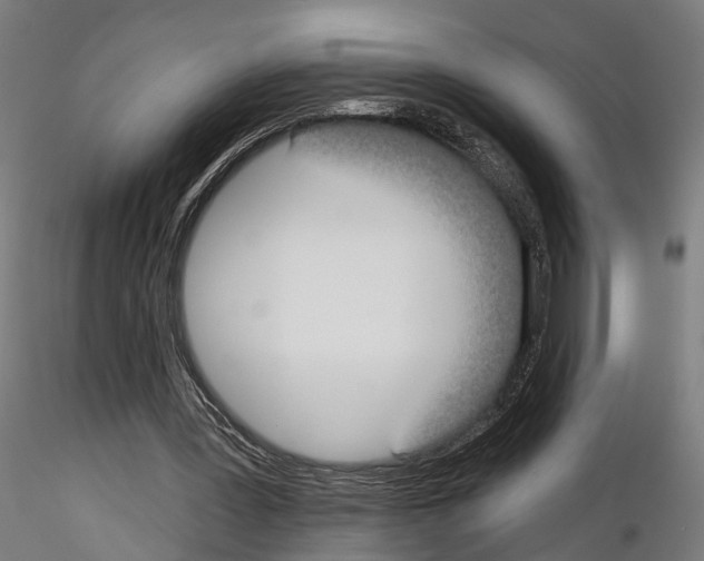 X0000115090387200912081240