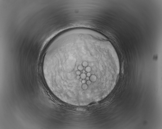 X0000115090388200912081240