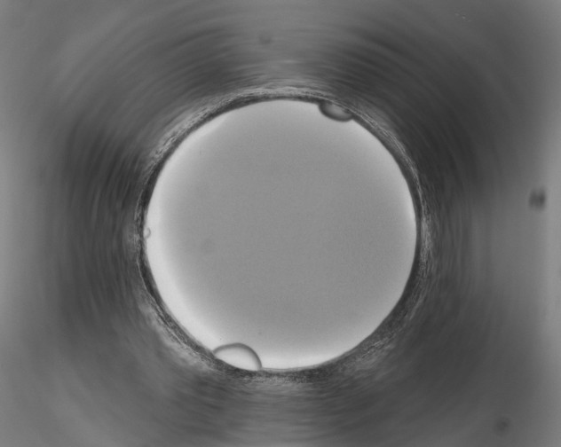 X0000115090389200912081240