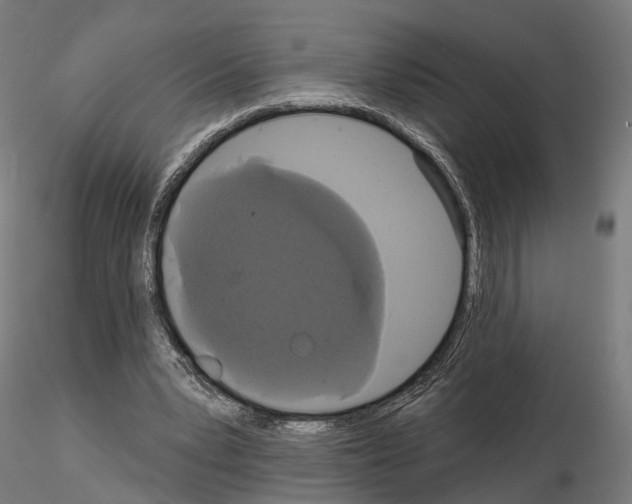 X0000115090391200912081240