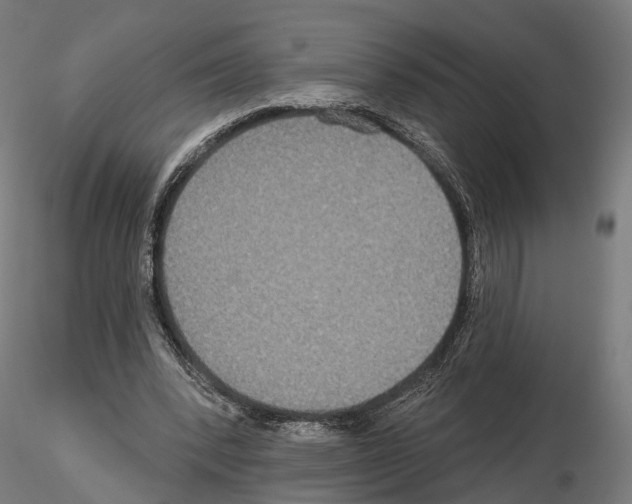 X0000115090392200912081240