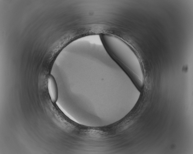 X0000115090393200912081240