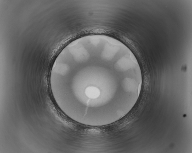 X0000115090394200912081240