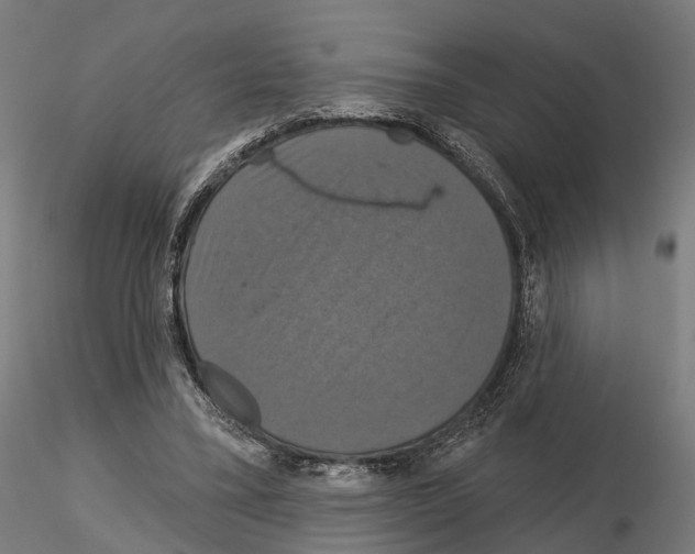 X0000115090395200912081240