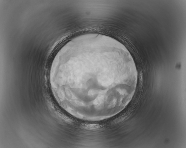 X0000115090396200912081240