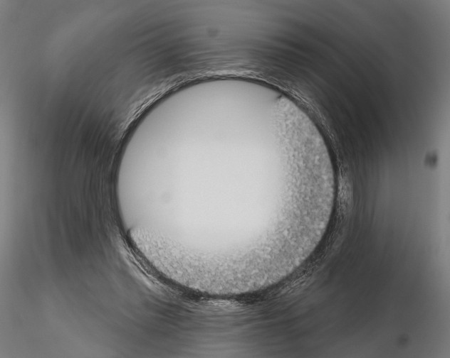 X0000115090397200912081240