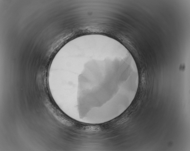 X0000115090398200912081240