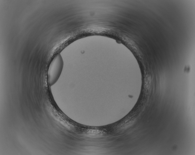 X0000115090399200912081240