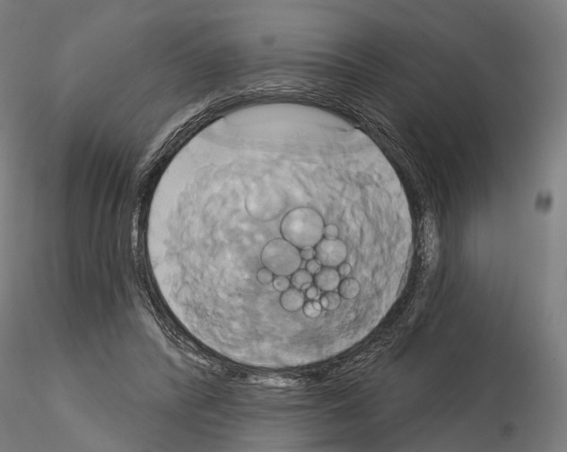 X0000115090400200912081240