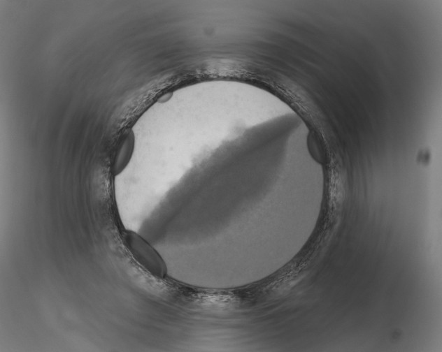 X0000115090401200912081240