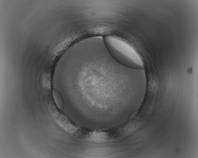 X0000115090403200912081240