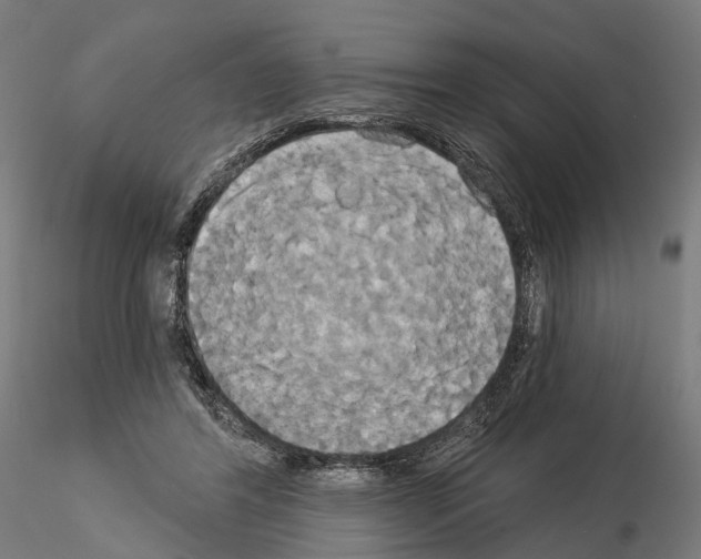 X0000115090404200912081240