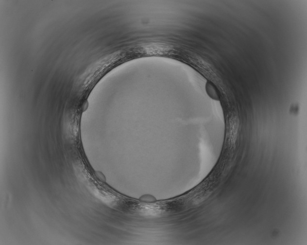 X0000115090405200912081240