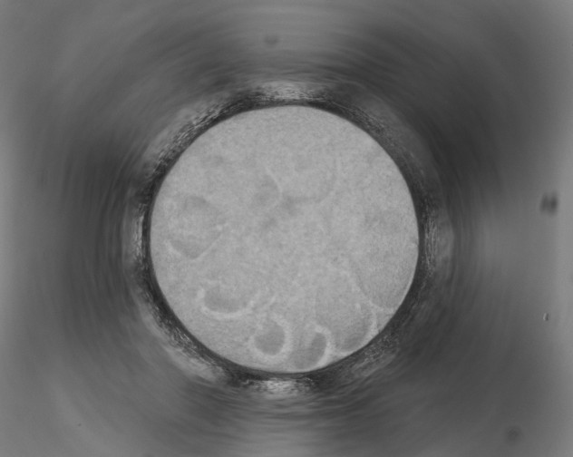 X0000115090406200912081240