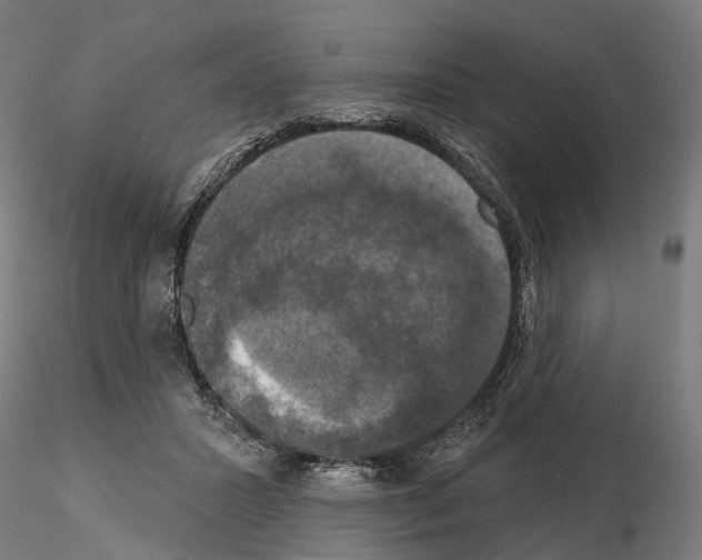 X0000115090407200912081240