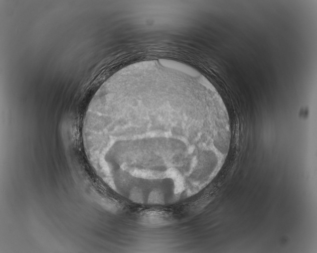 X0000115090408200912081239