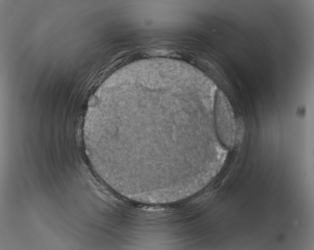 X0000115090409200912081239