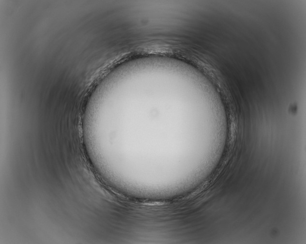 X0000115090411200912081239