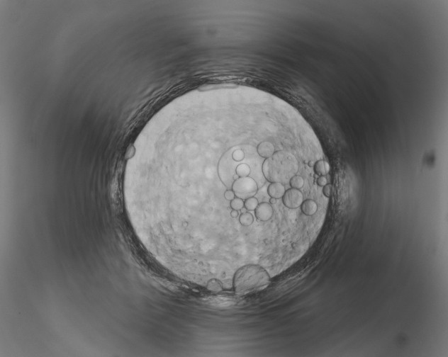 X0000115090412200912081239
