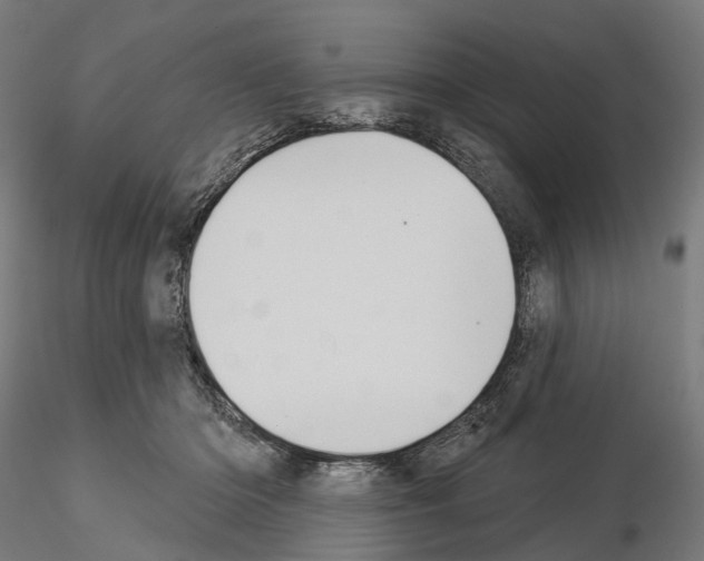 X0000115090414200912081239