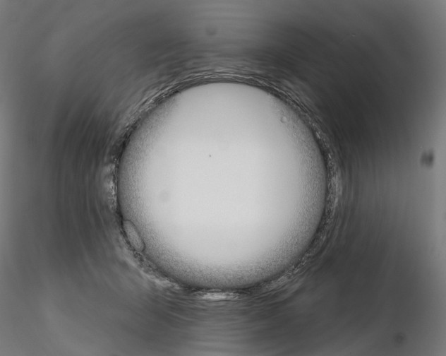 X0000115090415200912081239